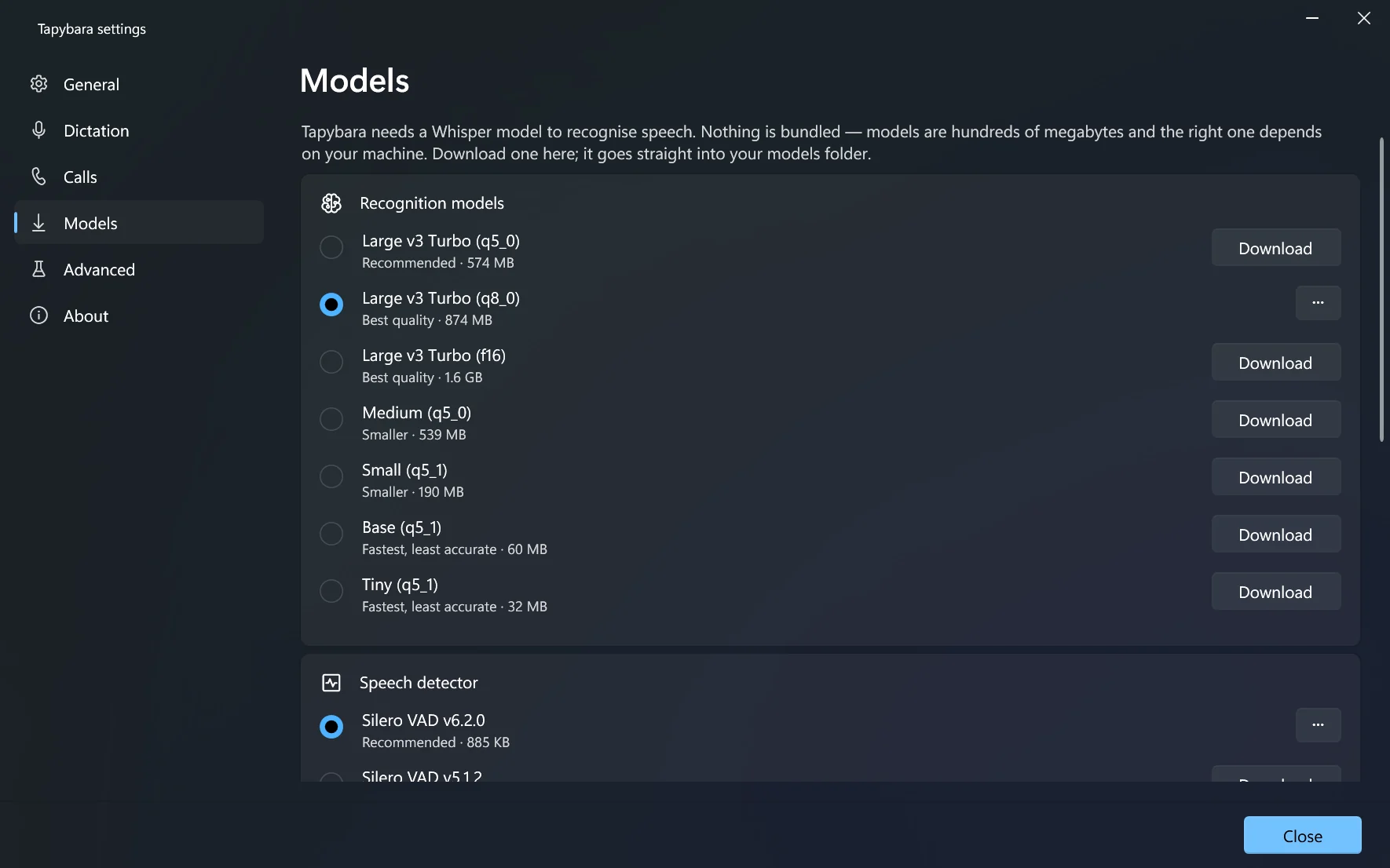 Tapybara settings, Models page: recognition models one per row, the one in use marked with a filled circle, the others with Download; below them the speech detector